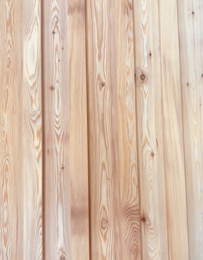 British larch Contemporary Fencing Slatted